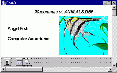 ����������� ����������� � ����-����� � �������