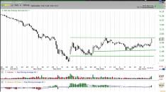 Марта Стоукс - Универсальный трейдинг