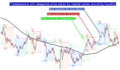 ������� �. - ����� ��������