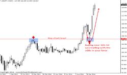 ���� ����� - ����� � ��������