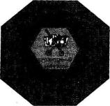 ������ - ���������