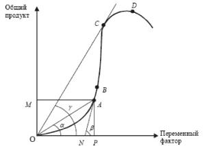 ����� - ���������. �������� ������