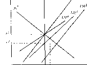 ������ �. -  �������� ������