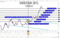 ������ ���� - ������ ����� ��������