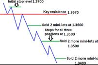 ���� ����� - ���� �������