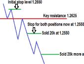 ���� ����� - ���������� ��������