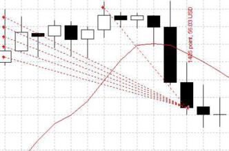 ���� �. - Cobra Night � �������� ��� ������� ��������