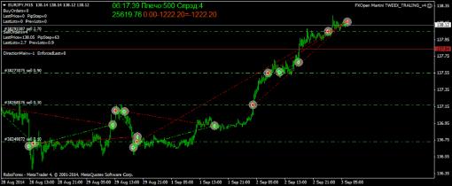 Частный случай изменения концепции одного Мартина