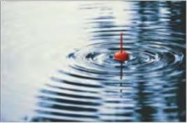 ������� ������� - �������� �� FOREX