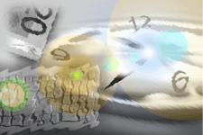 �������� �������� - ���������� ��������