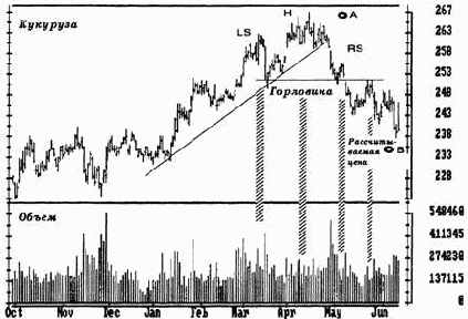 ������� � ���� 