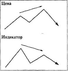 ������ ���� - ����� �������� ���������