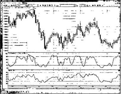 ������ ���� - ����� �������� ���������