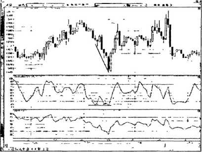 ������ ���� - ����� �������� ���������