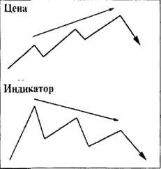 ������ ���� - ����� �������� ���������