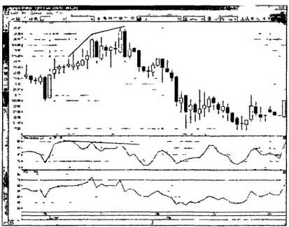 ������ ���� - ����� �������� ���������