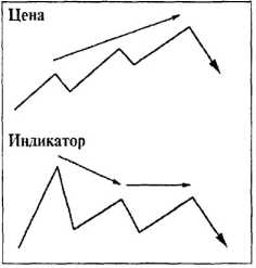 ������ ���� - ����� �������� ���������