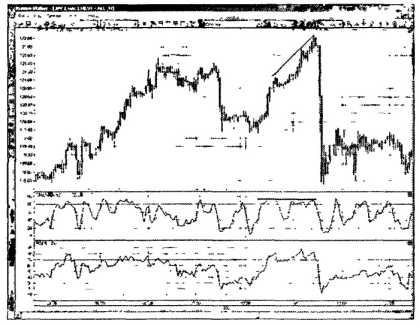 ������ ���� - ����� �������� ���������