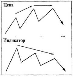 ������ ���� - ����� �������� ���������