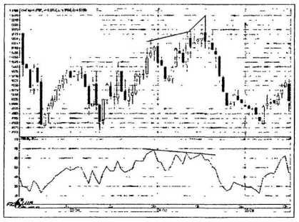 ������ ���� - ����� �������� ���������