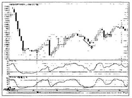 ������ ���� - ����� �������� ���������