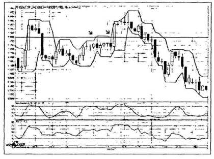 ������ ���� - ����� �������� ���������