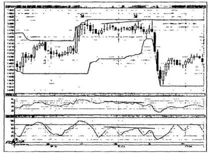 ������ ���� - ����� �������� ���������