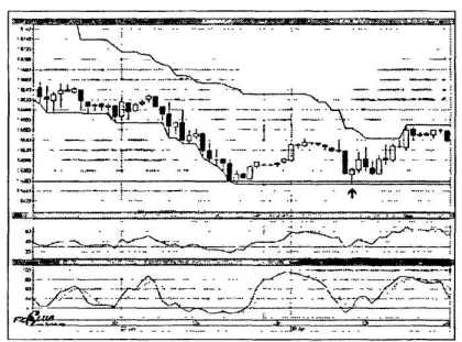 ������ ���� - ����� �������� ���������