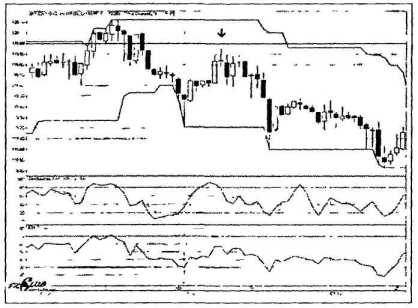 ������ ���� - ����� �������� ���������