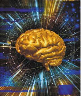 Брюзгин А. - Вольные размышления на тему трейдинга