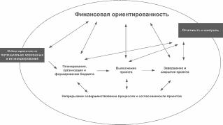 ГЛАВА 1. Проблемы управления портфелями проектов
