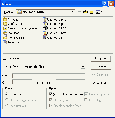 ���� Place ��� ��������� ����������� Pointer