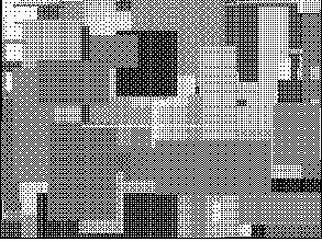 ���������� Rectangles