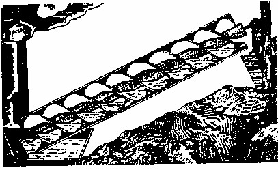 ����������� ������������