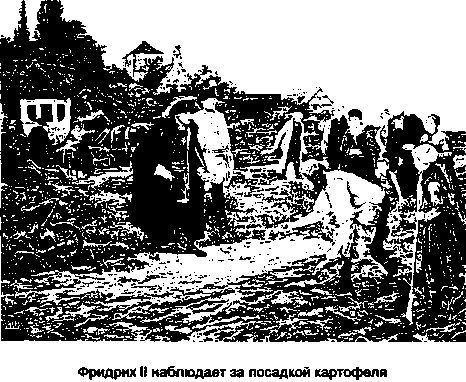 ����������� ���������-�������������� �������� ��������