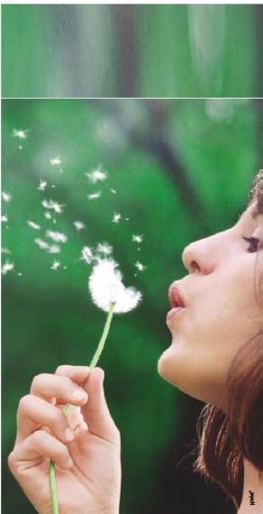 ��������� �. - ����� ����� �����