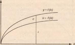 �������� ���������������Π������������� �������������� �����