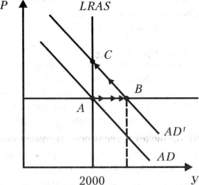 ������� - �������������� - �����