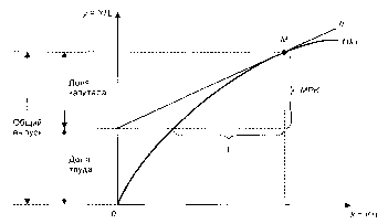 ����������� - ��������������