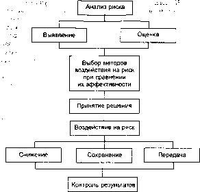 Шапкин А. С. - Теория риска и моделирование рисковых ситуаций