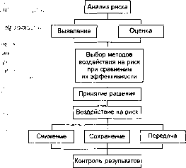 Шапкин А. С. - Теория риска и моделирование рисковых ситуаций