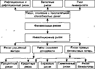 Шапкин А. С. - Теория риска и моделирование рисковых ситуаций