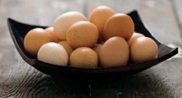 ������ ������ - ��������� ��� ��������