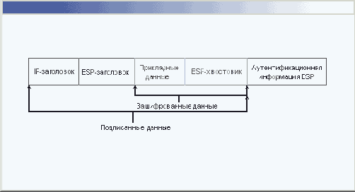 Протоколы безопасности