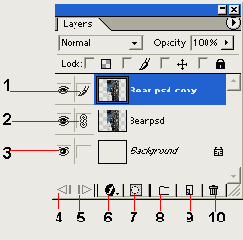 ���� ��������� ImageReady ����� ���� 