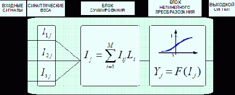 Биологический нейрон и формальная модель нейрона Маккалоки и Питтса