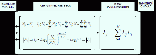 Гипотеза о нелокальности нейрона и информационная нейросетевая парадигма