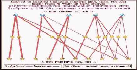 Графическое отображение нейронов