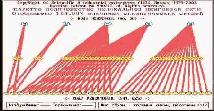 Графическое отображение нейронов