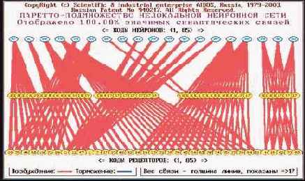 Графическое отображение нейронов